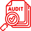 Comprehensive Store Audit