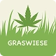 Advancing Cannabis App Discovery