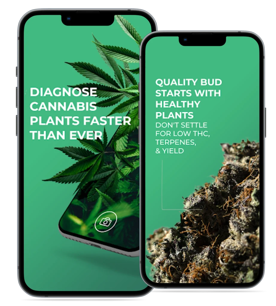 GrowDoc_ Cannabis Plant Doctor