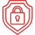 Security & Privacy Protection