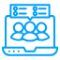 Dedicated SEO Team