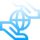 ngo (2)