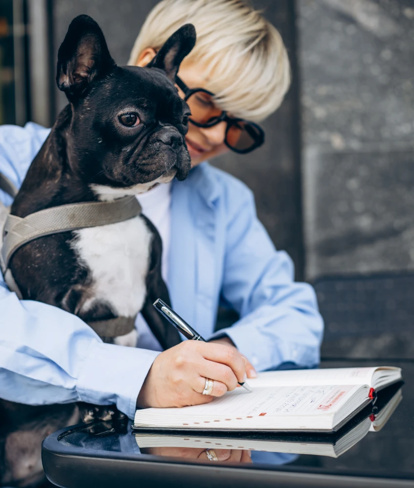 Pet Insurance